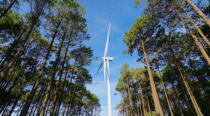Iberdrola obtains final environmental authorization to build the largest wind farm in Portugal