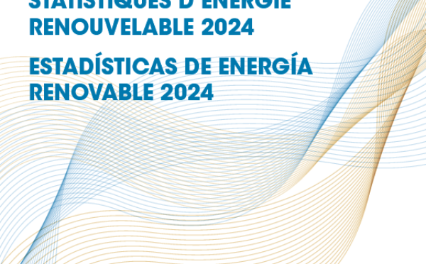 Renewable energy statistics 2024