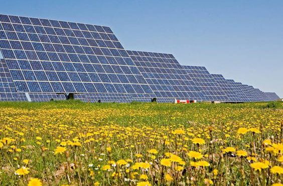 Satisfaction with photovoltaic: the number of approved projects allows progress in the line of achievement of the PNIEC