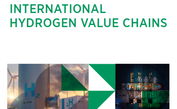 Shaping sustainable international hydrogen value chains