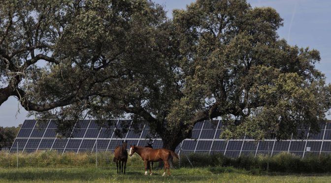 The photovoltaic paradox: the one that generates the least income but lowers the electricity bill in Spain the most